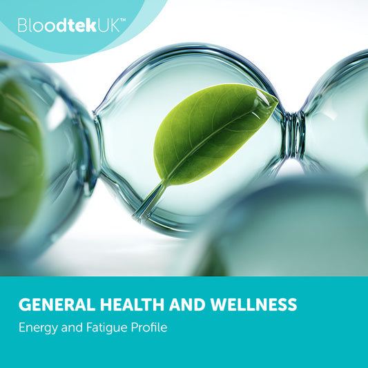 Energy and Fatigue Profile