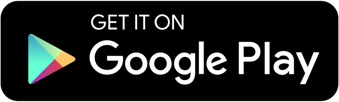 Google Store